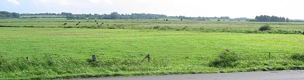 Blick in das Land